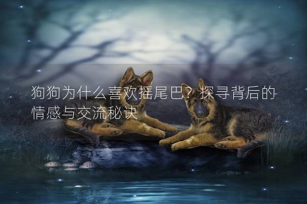 狗狗为什么喜欢摇尾巴？探寻背后的情感与交流秘诀