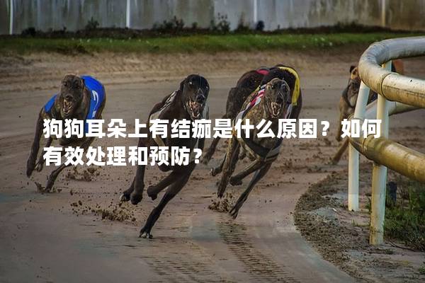 狗狗耳朵上有结痂是什么原因？如何有效处理和预防？
