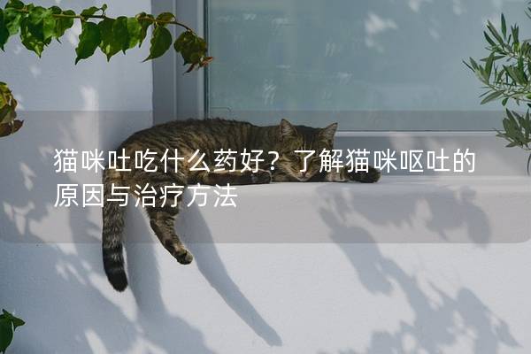 猫咪吐吃什么药好？了解猫咪呕吐的原因与治疗方法