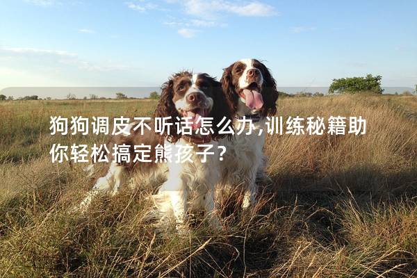 狗狗调皮不听话怎么办,训练秘籍助你轻松搞定熊孩子？