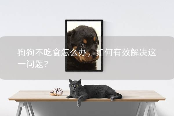 狗狗不吃食怎么办，如何有效解决这一问题？