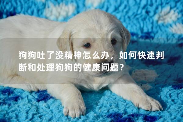 狗狗吐了没精神怎么办，如何快速判断和处理狗狗的健康问题？