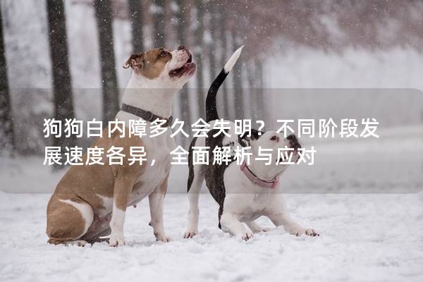 狗狗白内障多久会失明？不同阶段发展速度各异，全面解析与应对