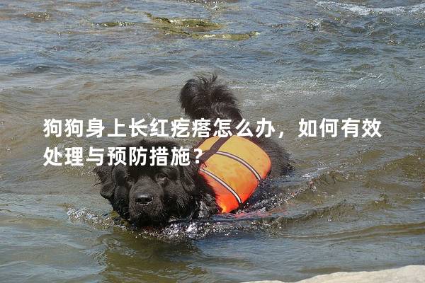 狗狗身上长红疙瘩怎么办，如何有效处理与预防措施？