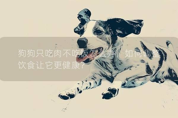 狗狗只吃肉不吃饭怎么办，如何调整饮食让它更健康？