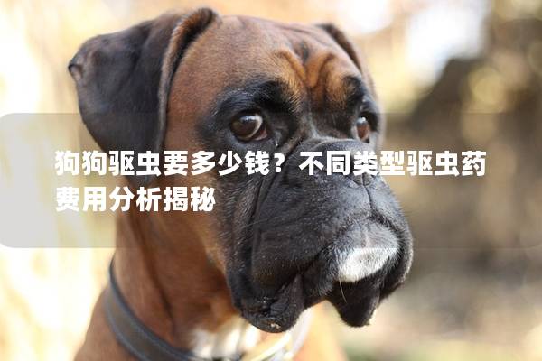 狗狗驱虫要多少钱？不同类型驱虫药费用分析揭秘