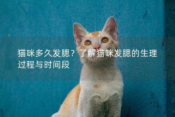 猫咪多久发腮？了解猫咪发腮的生理过程与时间段