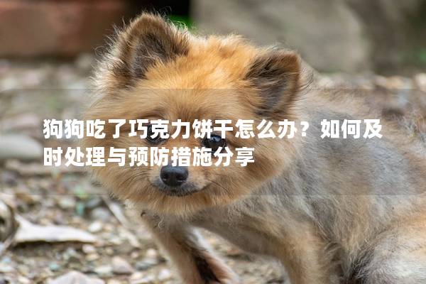 狗狗吃了巧克力饼干怎么办？如何及时处理与预防措施分享