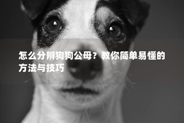怎么分辨狗狗公母？教你简单易懂的方法与技巧