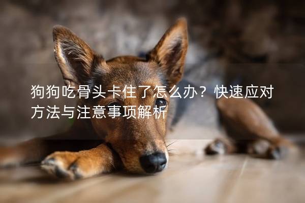 狗狗吃骨头卡住了怎么办？快速应对方法与注意事项解析