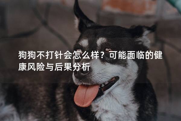 狗狗不打针会怎么样？可能面临的健康风险与后果分析