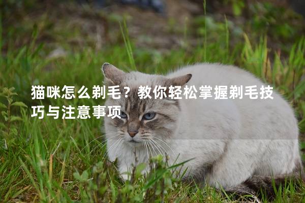 猫咪怎么剃毛？教你轻松掌握剃毛技巧与注意事项