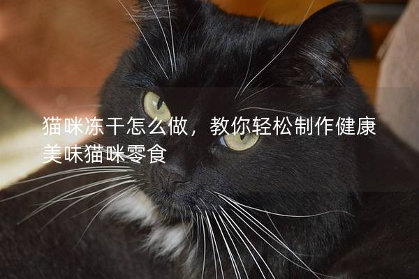 猫咪冻干怎么做，教你轻松制作健康美味猫咪零食