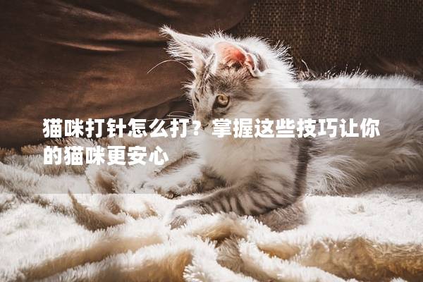 猫咪打针怎么打？掌握这些技巧让你的猫咪更安心