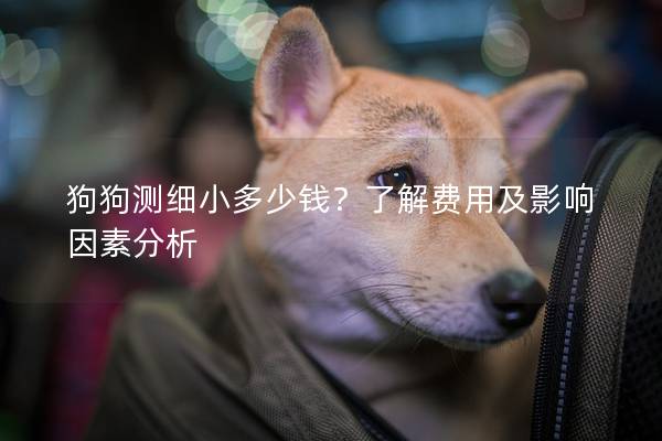 狗狗测细小多少钱？了解费用及影响因素分析