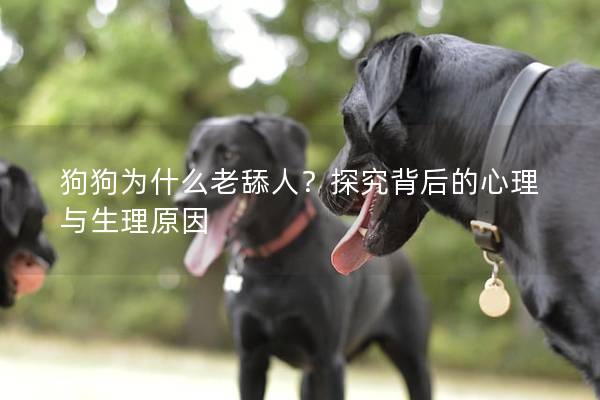 狗狗为什么老舔人？探究背后的心理与生理原因