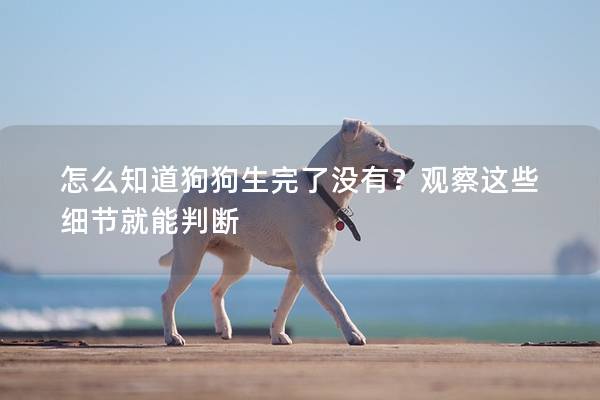 怎么知道狗狗生完了没有？观察这些细节就能判断