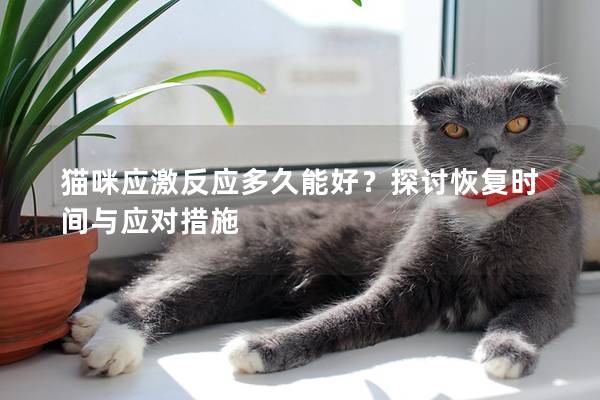 猫咪应激反应多久能好？探讨恢复时间与应对措施