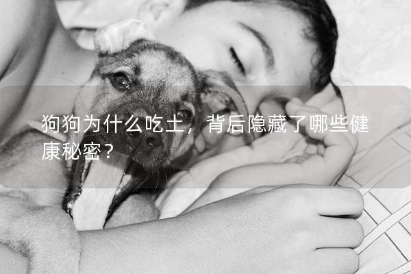 狗狗为什么吃土，背后隐藏了哪些健康秘密？