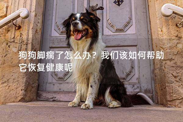 狗狗脚瘸了怎么办？我们该如何帮助它恢复健康呢