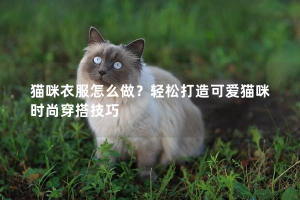 猫咪衣服怎么做？轻松打造可爱猫咪时尚穿搭技巧