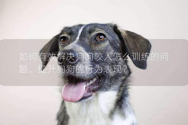 如何有效解决狗狗咬人怎么训练的问题，提升狗狗的行为表现？