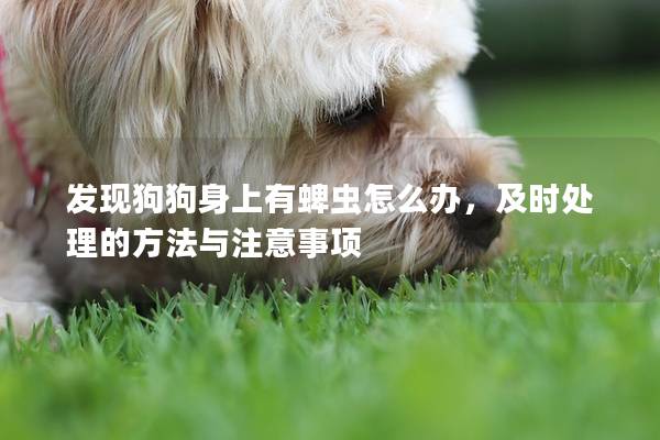 发现狗狗身上有蜱虫怎么办，及时处理的方法与注意事项