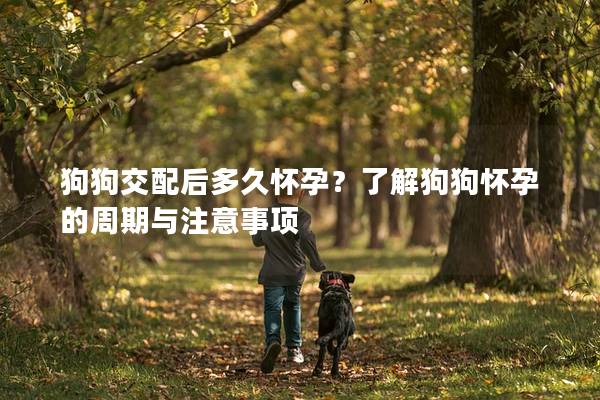 狗狗交配后多久怀孕？了解狗<a href=