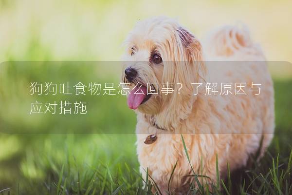 狗狗吐食物是怎么回事？了解原因与应对措施