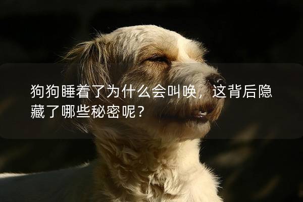 狗狗睡着了为什么会叫唤，这背后隐藏了哪些秘密呢？