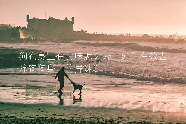 狗狗身上有臭味怎么办，如何有效去除狗狗身上的异味？