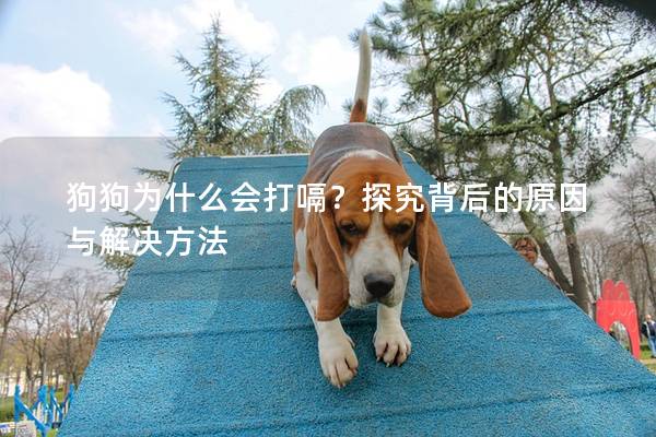 狗狗为什么会打嗝？探究背后的原因与解决方法