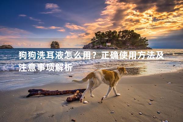 狗狗洗耳液怎么用？正确使用方法及注意事项解析