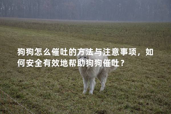 狗狗怎么催吐的方法与注意事项，如何安全有效地帮助狗狗催吐？
