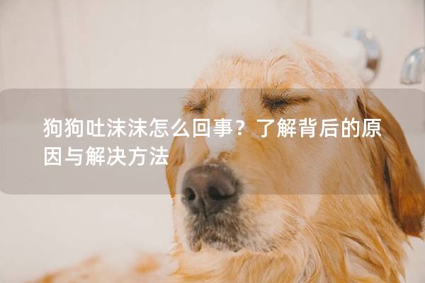 狗狗吐沫沫怎么回事？了解背后的原因与解决方法