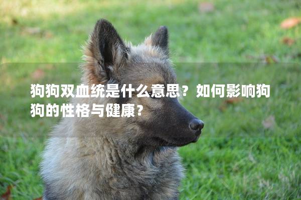狗狗双血统是什么意思？如何影响狗狗的性格与健康？