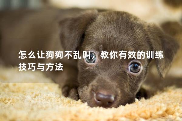 怎么让狗狗不乱叫，教你有效的训练技巧与方法