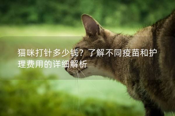 猫咪打针多少钱？了解不同疫苗和护理费用的详细解析