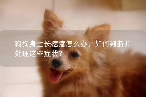 狗狗身上长疙瘩怎么办，如何判断并处理这些症状？
