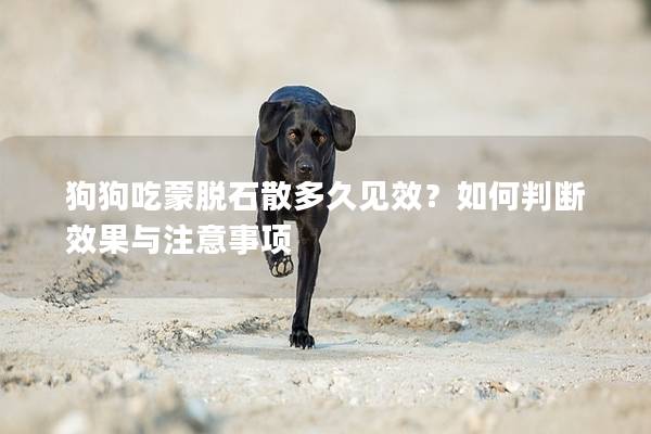 狗狗吃蒙脱石散多久见效？如何判断效果与注意事项