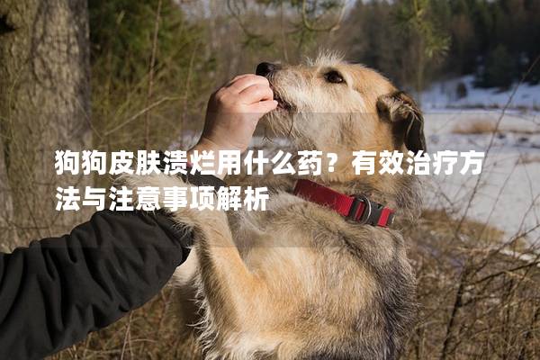 狗狗皮肤溃烂用什么药？有效治疗方法与注意事项解析