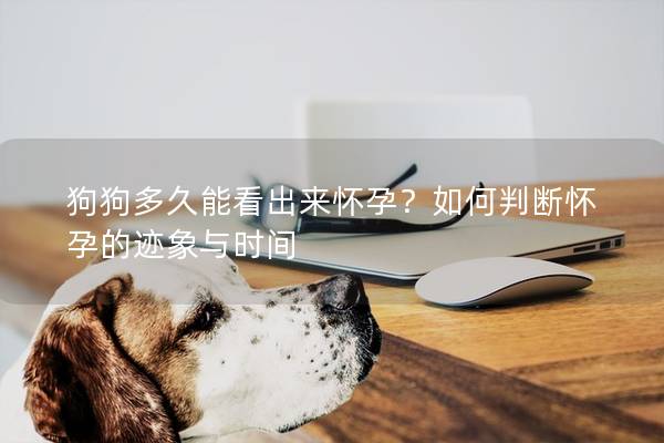 狗狗多久能看出来怀孕？如何判断怀孕的迹象与时间