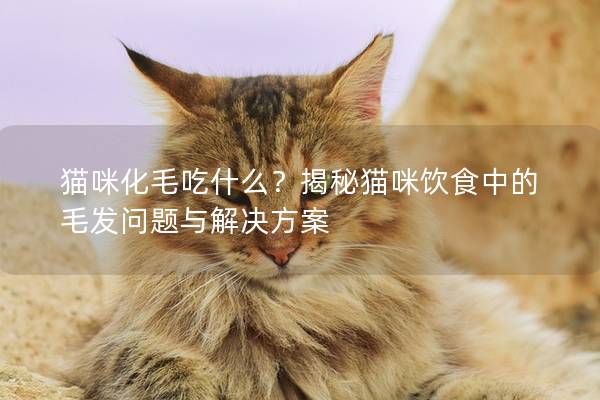 猫咪化毛吃什么？揭秘猫咪饮食中的毛发问题与解决方案