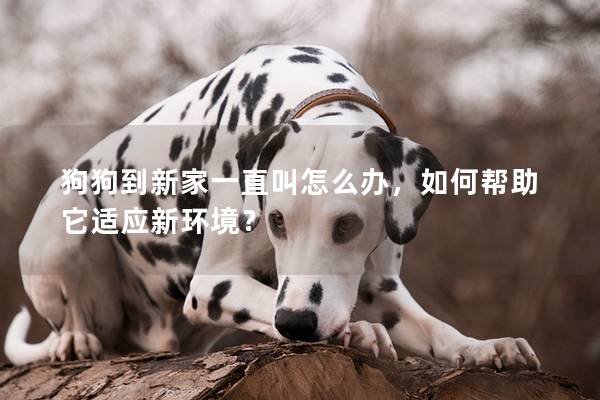 狗狗到新家一直叫怎么办，如何帮助它适应新环境？