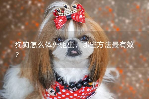狗狗怎么体外驱虫，哪些方法最有效？