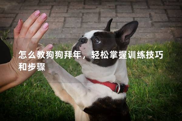 怎么教狗狗拜年，轻松掌握训练技巧和步骤