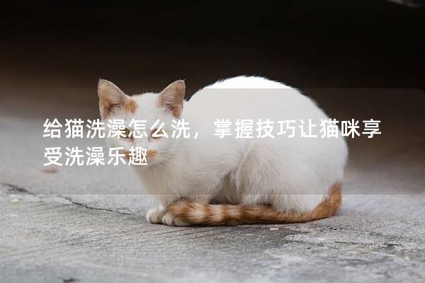 给猫洗澡怎么洗，掌握技巧让猫咪享受洗澡乐趣