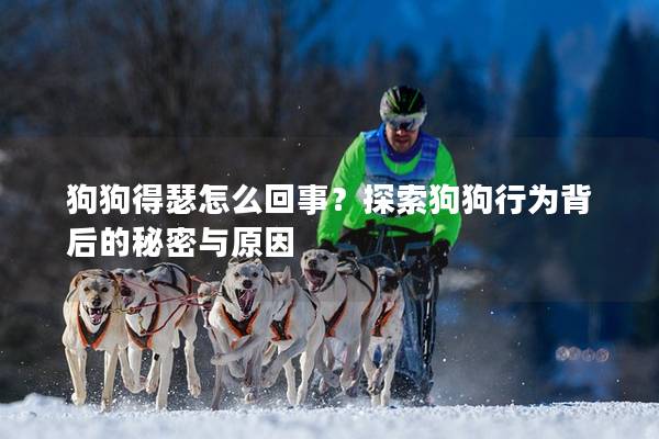 狗狗得瑟怎么回事？探索狗狗行为背后的秘密与原因