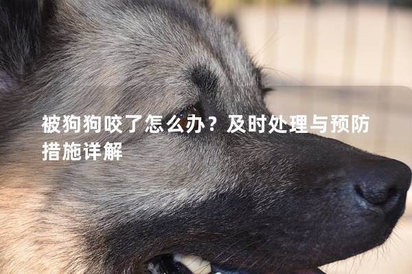被狗狗咬了怎么办？及时处理与预防措施详解