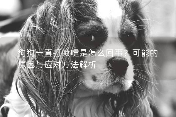 狗狗一直打喷嚏是怎么回事？可能的原因与应对方法解析